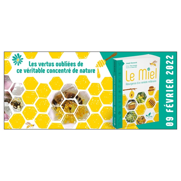 Le miel - Résurgence d'un remède millénaire