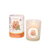 Bougie Totem L'Ours
