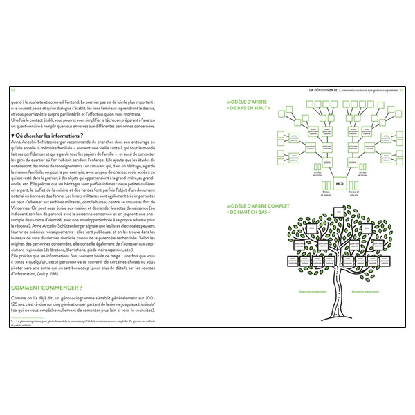 Psychogénéalogie au quotidien - Envie de comprendre votre passé familial ?