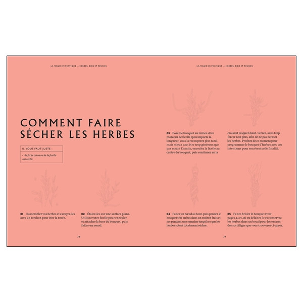 Le guide ultime de la sorcière moderne - Lotions, potions, techniques de divination, rituels, cérémonies...