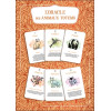 L'Oracle des animaux totems - Coffret - 48 cartes et un livre pour rencontrer ton animal allié