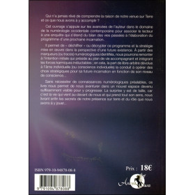 La numérologie dans l'après-vie - Décryptage de la stratégie qui précède une incarnation
