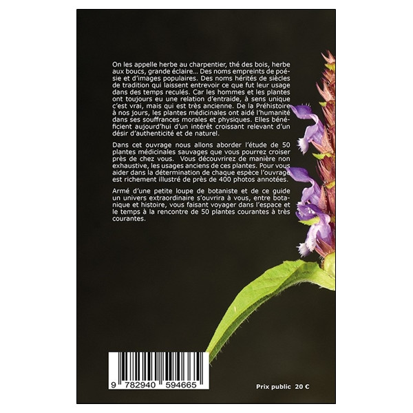 Reconnaissez 50 plantes médicinales sauvages