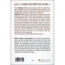 Les missions qui donnent un sens à notre vie sur Terre - Maestros Tome 2 - De grandes révélations pour tous !