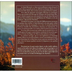 Saint Bernard éternel