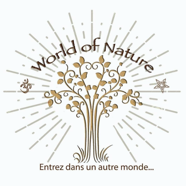 Honnêteté radicale