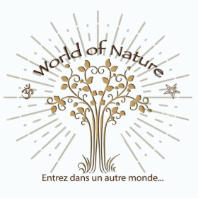 Grimoire vierge Lugnasad