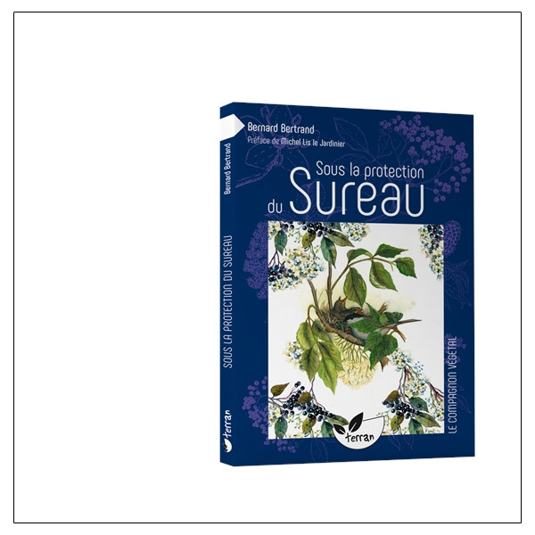 Sous la protection du Sureau