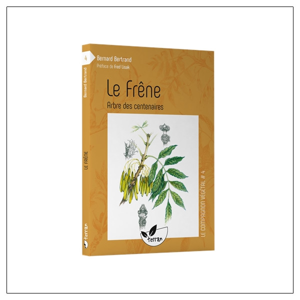 Le Frêne, arbre des centenaires