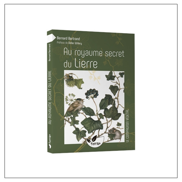 Au royaume secret du Lierre