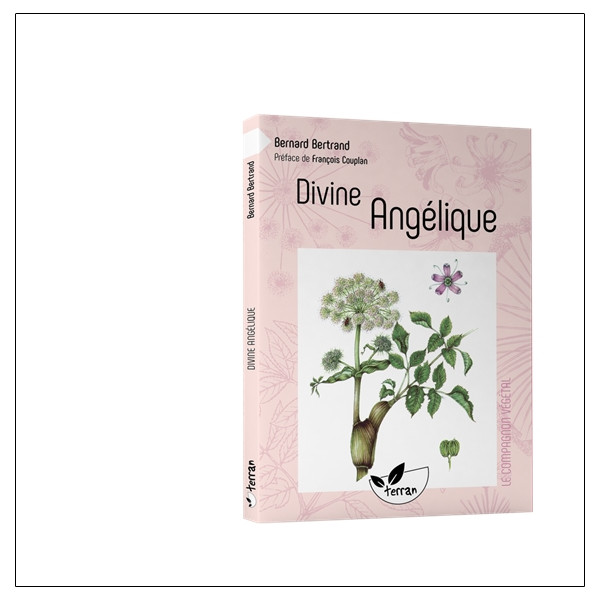 Divine Angélique