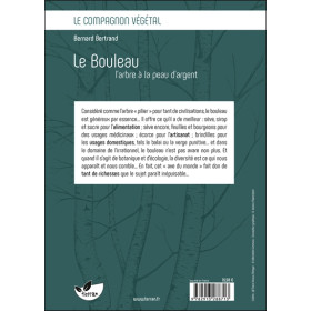 Le Bouleau, l'arbre à la peau d'argent