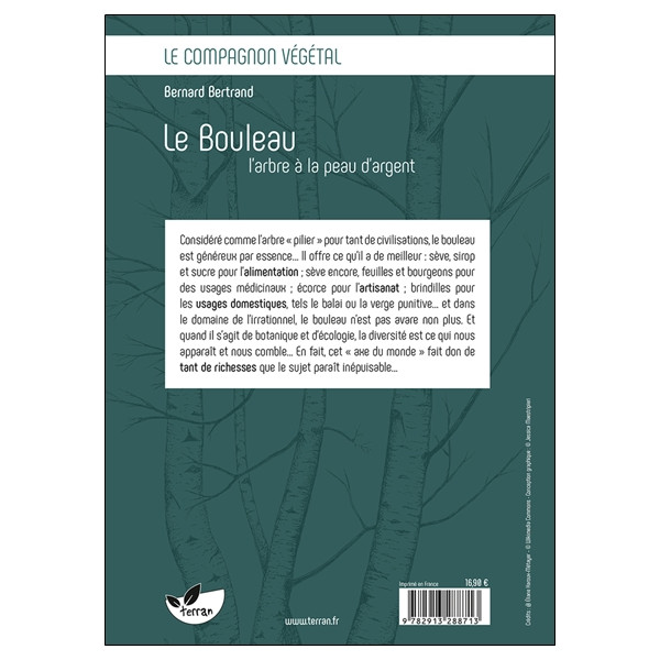Le Bouleau, l'arbre à la peau d'argent