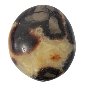 Galet Septaria - Pièce de 7 à 10 cm