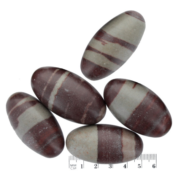 Sachet Lingams Qualité Extra - 5 cm