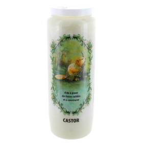 Neuvaine animal totem : Castor