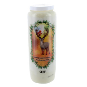 Neuvaine animal totem : Cerf