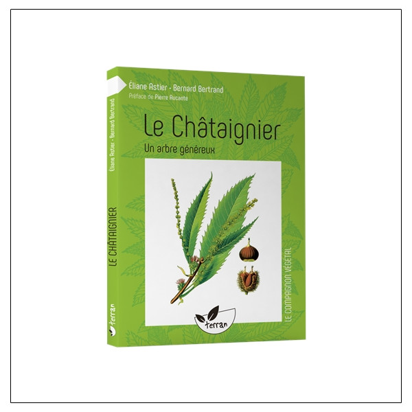 Le Châtaignier - Un arbre généreux