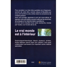 Le vrai monde est à l'intérieur - L'éveil de la conscience face aux messages décryptés de Jésus