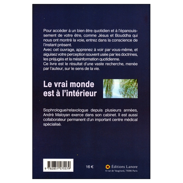 Le vrai monde est à l'intérieur - L'éveil de la conscience face aux messages décryptés de Jésus
