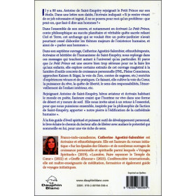 S'il te plaît, dessine-moi... une voie de sagesse ! Retour à l'essentiel sur les traces du Petit Prince