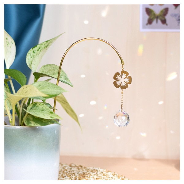 Attrape-soleil à planter Flora