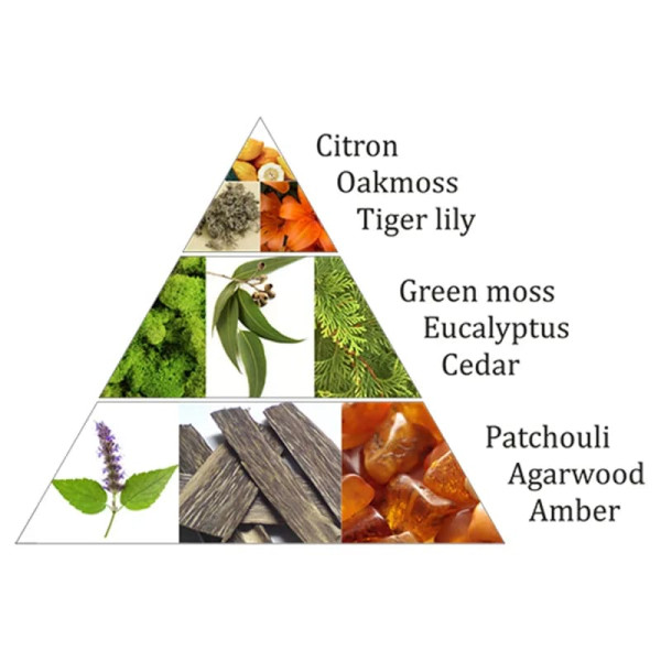 Emballé par 3, Aromafume briques d'encens Forest Dew -- 40 g