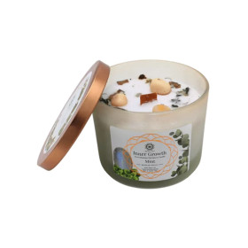 Bougie Litho Green Tree Croissance Intérieure - Menthe - 256 grs