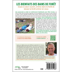 Les bienfaits des bains de forêt - Guérir grâce aux arbres