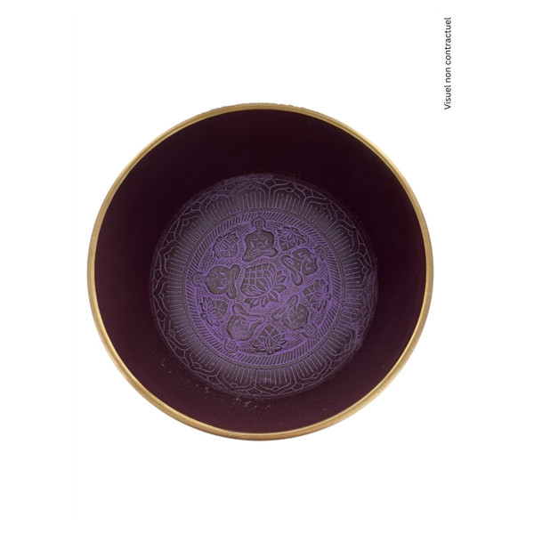 Bol Chantant Aluminium Violet Om Katora env 20 cm