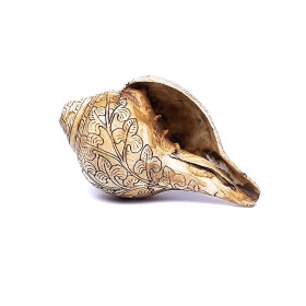 Conque tibétaine trompette rituelle gravé OMPH -- ±18 cm