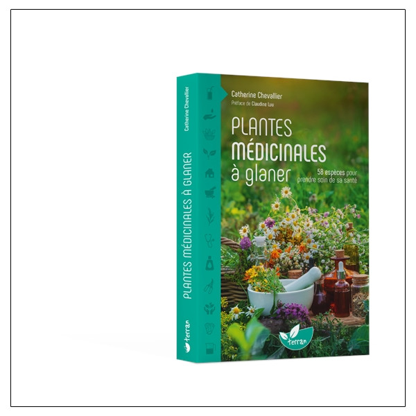 Plantes médicinales à glaner  58 espèces pour prendre soin de sa santé