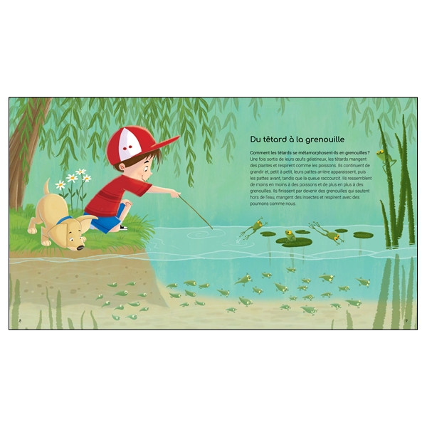 Les merveilles de la nature - 44 secrets fascinants à connaître - Parce que la nature est vraiment incroyable et remplie de merv