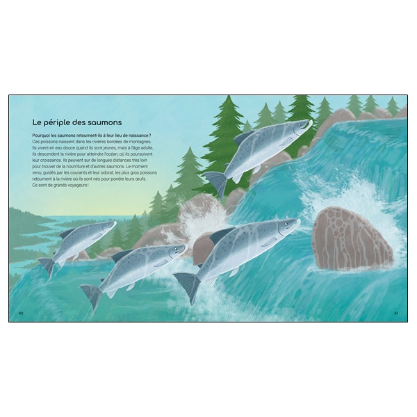 Les merveilles de la nature - 44 secrets fascinants à connaître - Parce que la nature est vraiment incroyable et remplie de merv