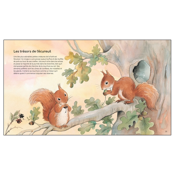 L'incroyable Monde des animaux - 44 faits incroyables et captivants pour enrichir tes connaissances du monde animal et découvrir