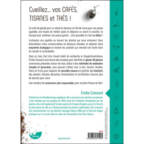 Cueillez vos cafés, tisanes et thés !  Diversifiez vos boissons chaudes grâce aux plantes qui vous entourent