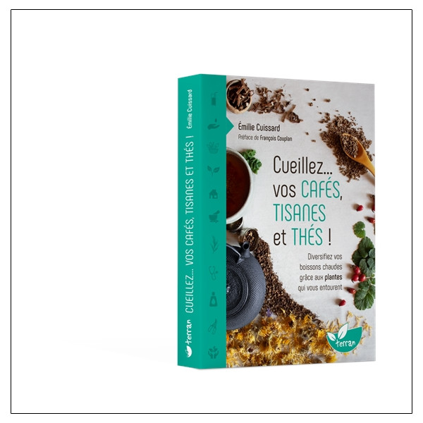 Cueillez vos cafés, tisanes et thés !  Diversifiez vos boissons chaudes grâce aux plantes qui vous entourent