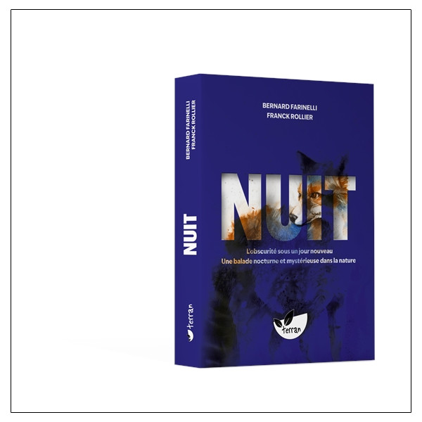 Nuit  Lobscurité sous un jour nouveau - Une balade nocturne et mystérieuse dans la nature