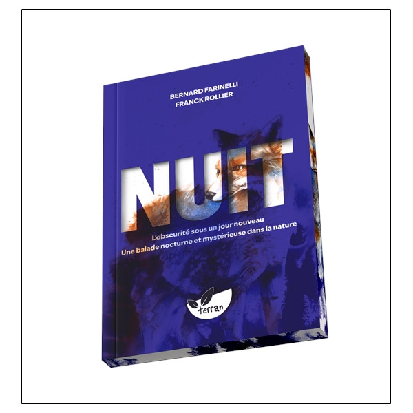 Nuit  Lobscurité sous un jour nouveau - Une balade nocturne et mystérieuse dans la nature