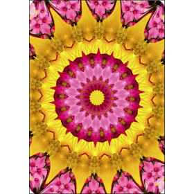 Oracle Hindou des Dieux de la Sagesse