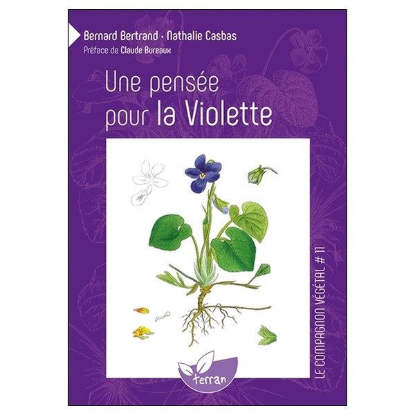 Une pensée pour la Violette
