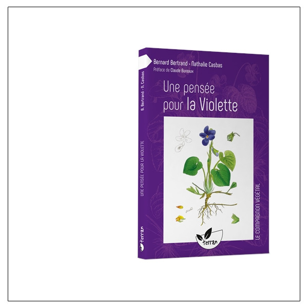 Une pensée pour la Violette