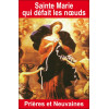 Sainte Marie qui défait les noeuds - Prières et Neuvaines