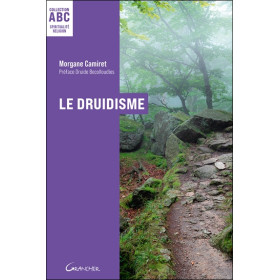 Le Druidisme - ABC - Origines, philosophie et pratiques d'une tradition antique