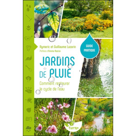 Jardins de pluie  Comment restaurer le cycle de leau