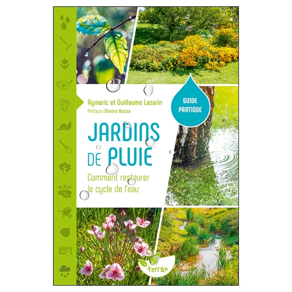 Jardins de pluie  Comment restaurer le cycle de leau