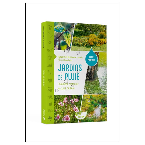 Jardins de pluie  Comment restaurer le cycle de leau