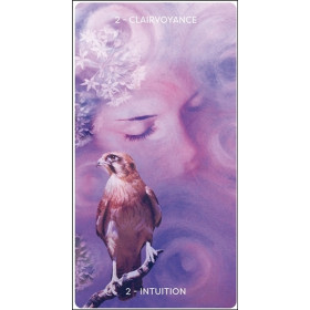 L'Oracle d'Hildegarde - Livre + jeu