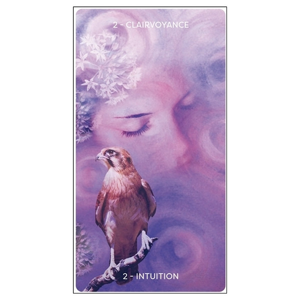 L'Oracle d'Hildegarde - Livre + jeu