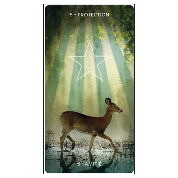 L'Oracle d'Hildegarde - Livre + jeu